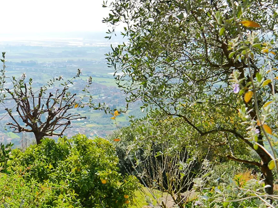 Immagine 83 di Casa colonica in vendita  a Massarosa