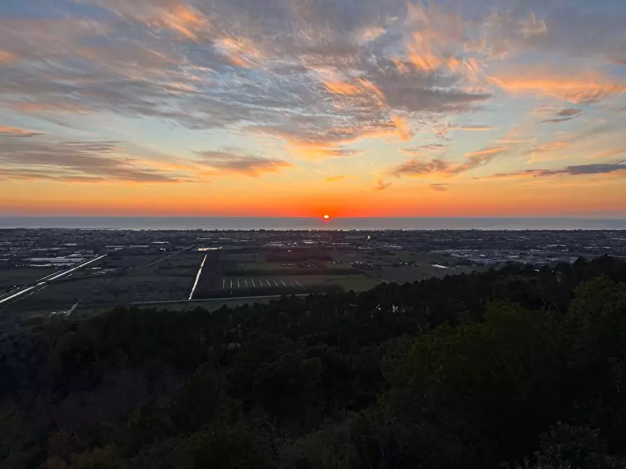 Immagine 164 di Casa colonica in vendita  a Massarosa