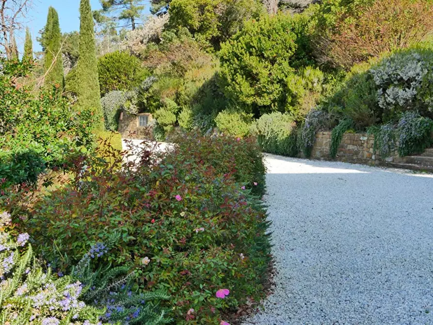 Immagine 40 di Casa colonica in vendita  a Massarosa