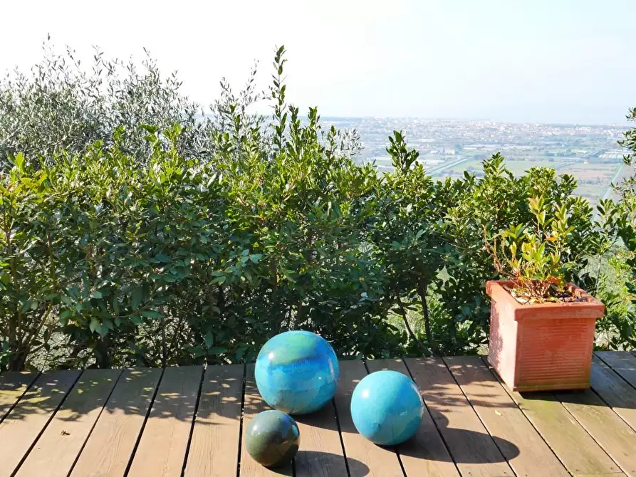 Immagine 44 di Casa colonica in vendita  a Massarosa