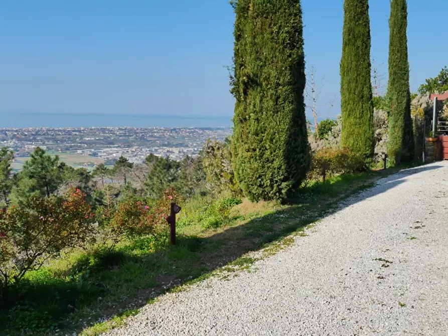 Immagine 3 di Casa colonica in vendita  a Massarosa