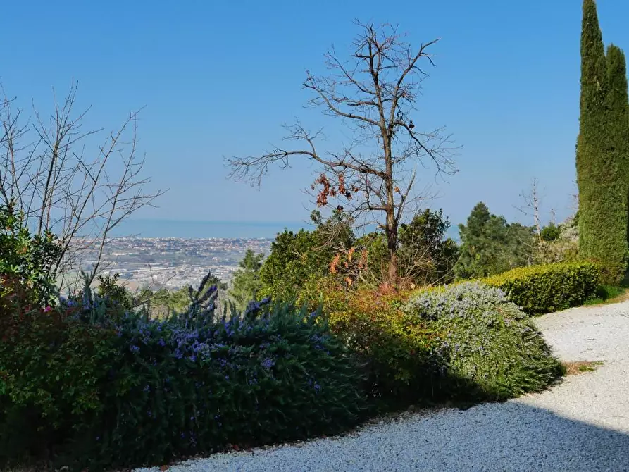 Immagine 7 di Casa colonica in vendita  a Massarosa