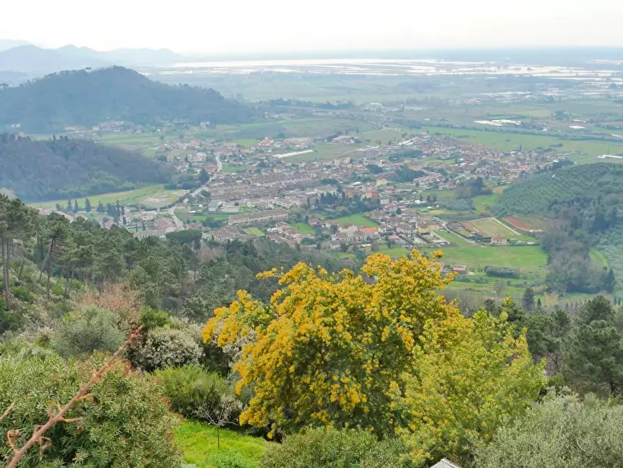 Immagine 151 di Casa colonica in vendita  a Massarosa