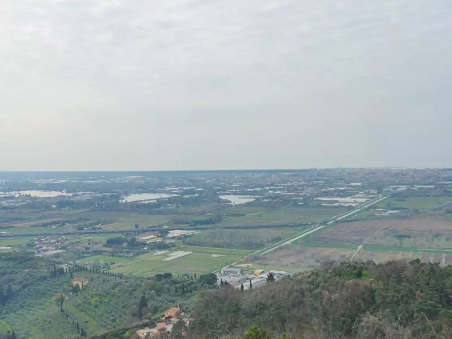 Immagine 150 di Casa colonica in vendita  a Massarosa