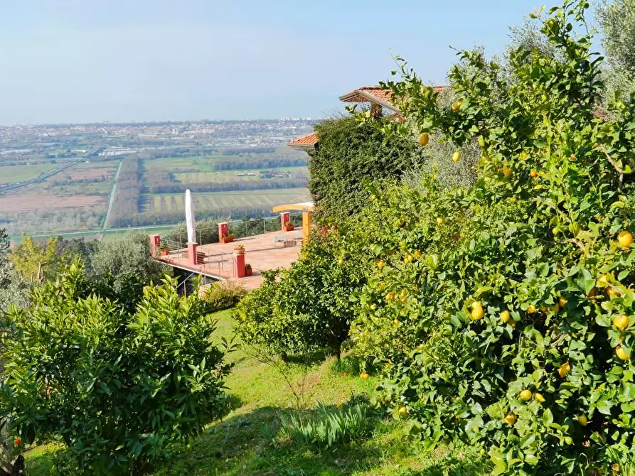 Immagine 85 di Casa colonica in vendita  a Massarosa