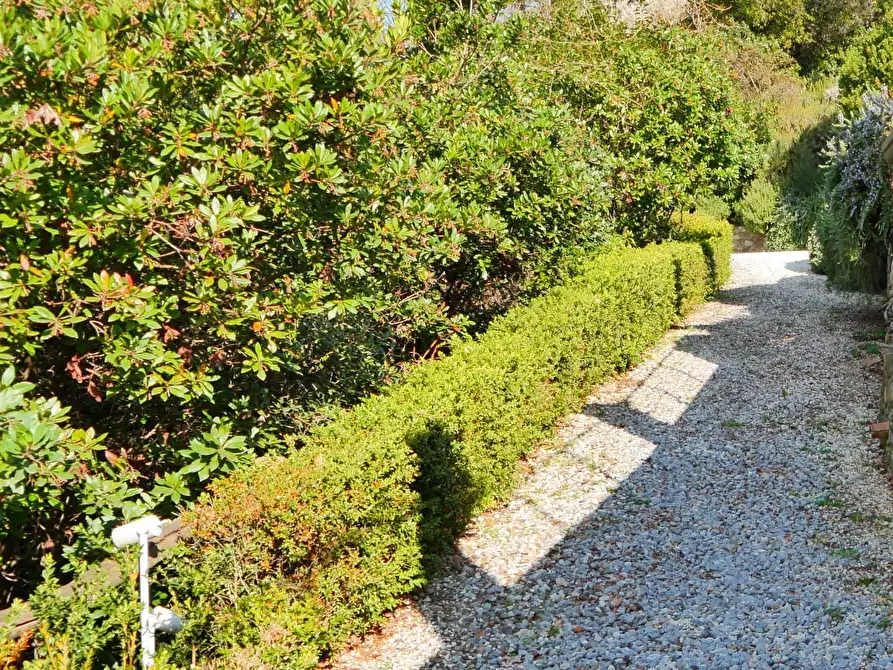 Immagine 42 di Casa colonica in vendita  a Massarosa