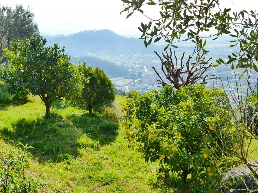 Immagine 82 di Casa colonica in vendita  a Massarosa
