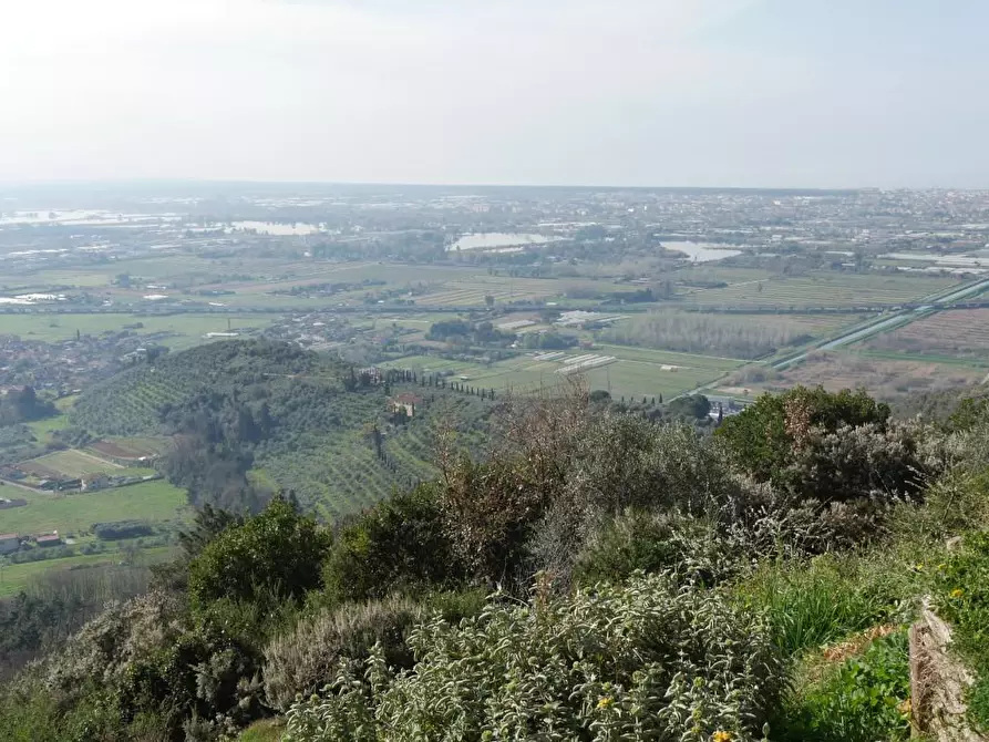 Immagine 67 di Casa colonica in vendita  a Massarosa