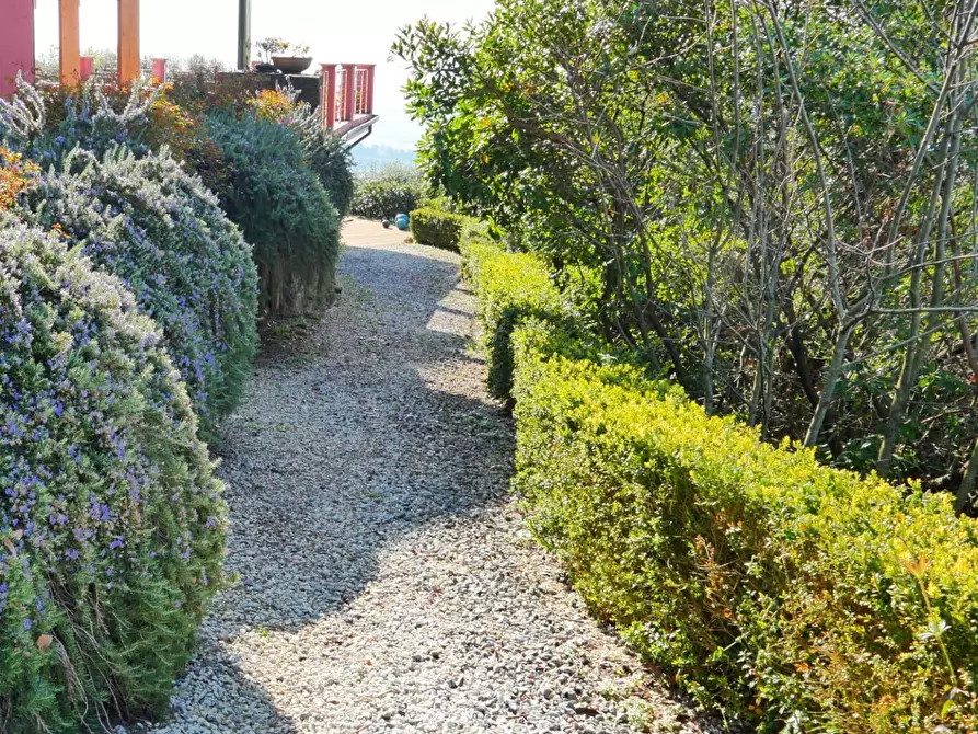 Immagine 41 di Casa colonica in vendita  a Massarosa