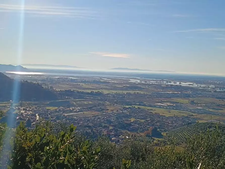 Immagine 18 di Casa colonica in vendita  a Massarosa