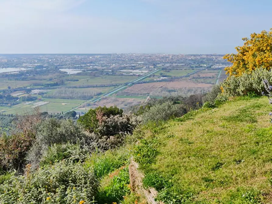 Immagine 68 di Casa colonica in vendita  a Massarosa