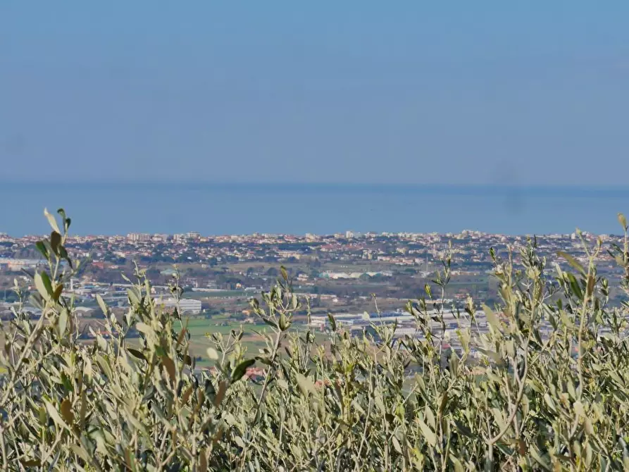 Immagine 30 di Casa colonica in vendita  a Massarosa
