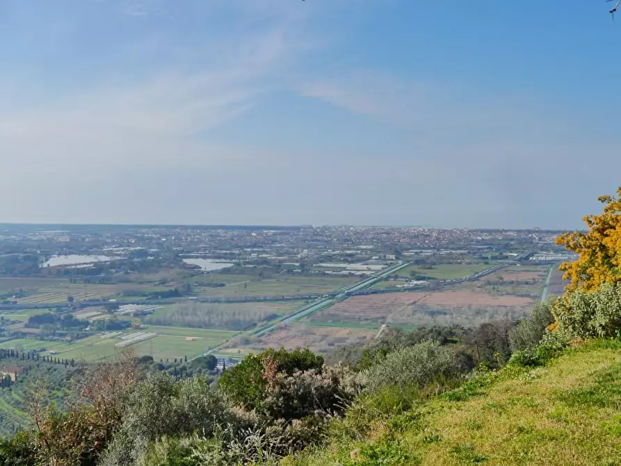Immagine 63 di Casa colonica in vendita  a Massarosa