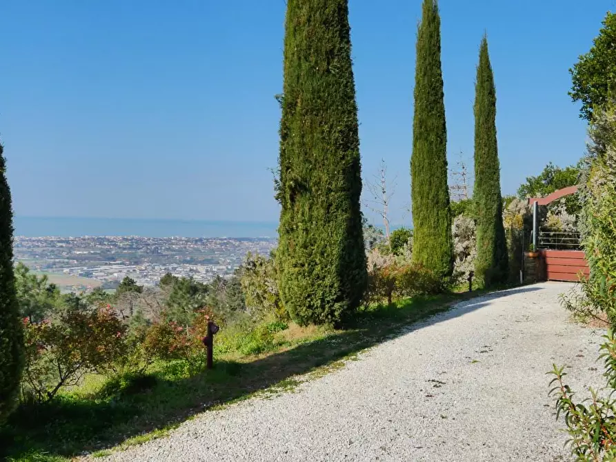 Immagine 5 di Casa colonica in vendita  a Massarosa