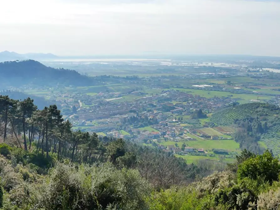 Immagine 66 di Casa colonica in vendita  a Massarosa