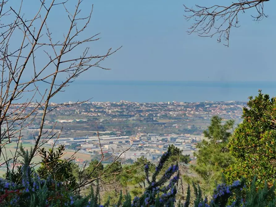 Immagine 9 di Casa colonica in vendita  a Massarosa