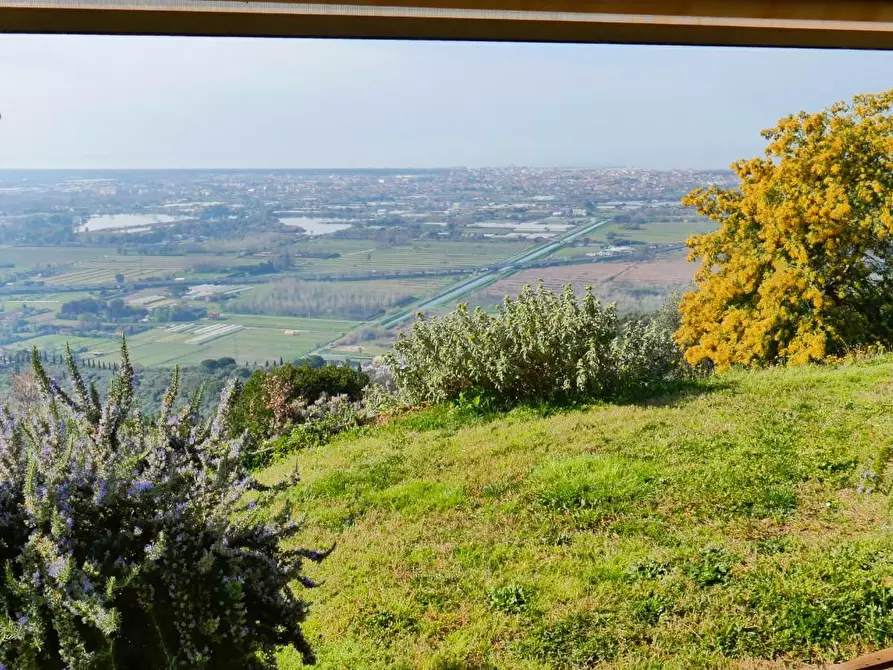 Immagine 70 di Casa colonica in vendita  a Massarosa