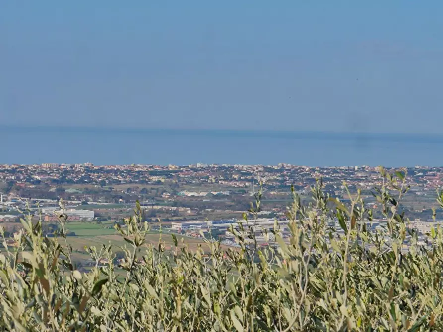 Immagine 29 di Casa colonica in vendita  a Massarosa