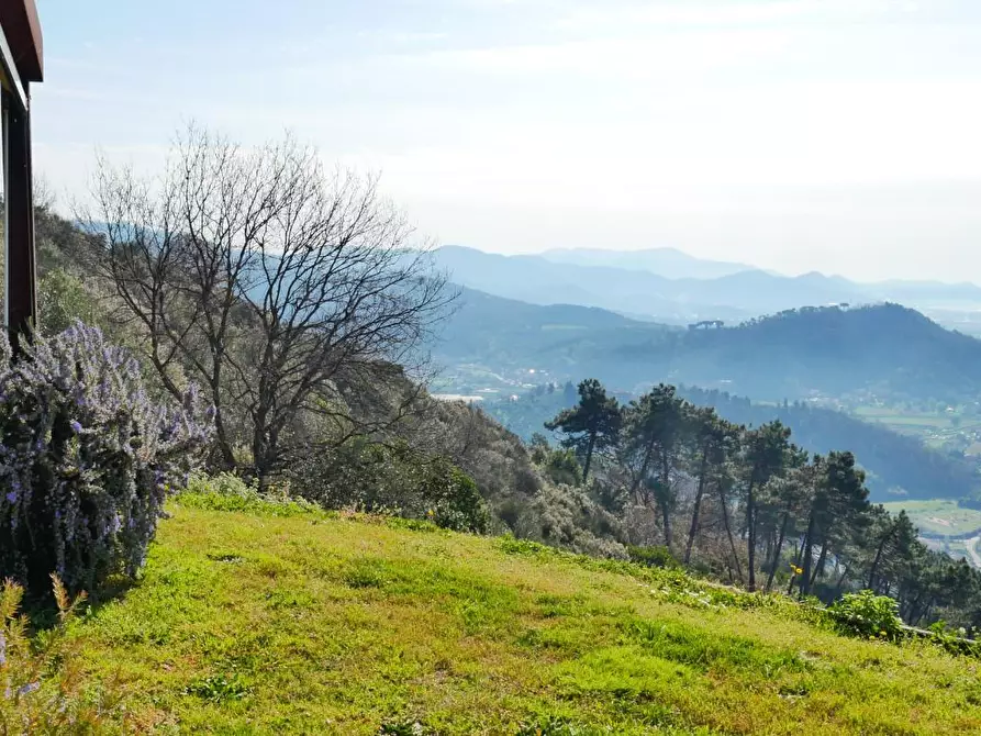 Immagine 74 di Casa colonica in vendita  a Massarosa