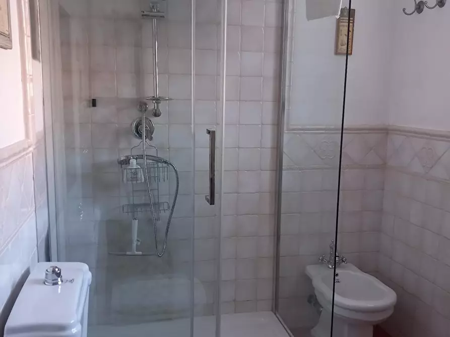 Immagine 24 di Terratetto in affitto  a Forte Dei Marmi