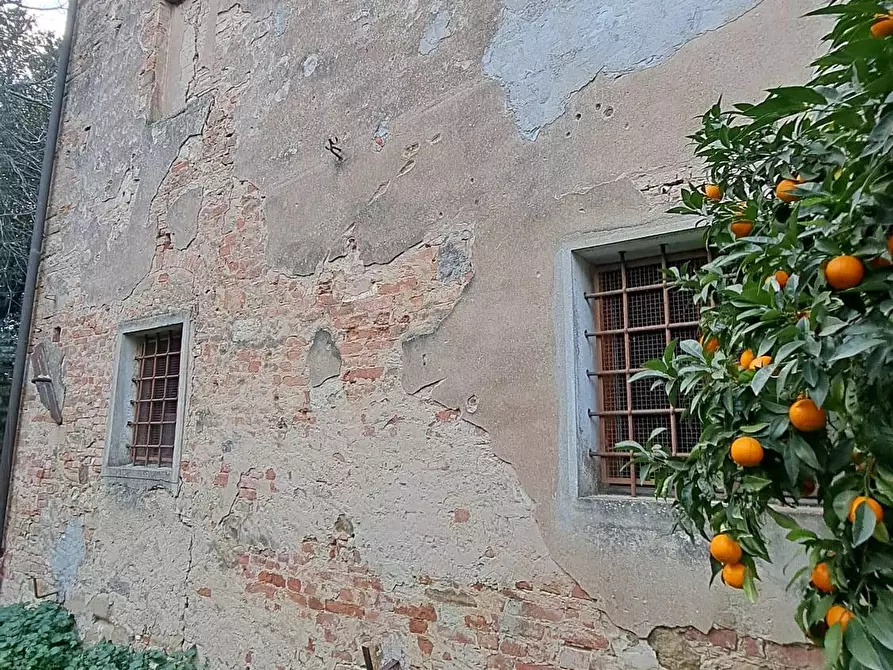 Immagine 9 di Garage in vendita  a Peccioli