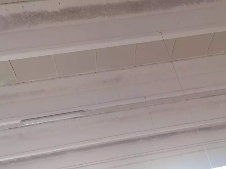 Immagine 8 di Attività artigianale in vendita  a Carmignano