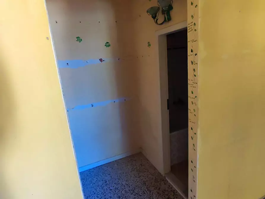 Immagine 8 di Appartamento in vendita  a Peccioli