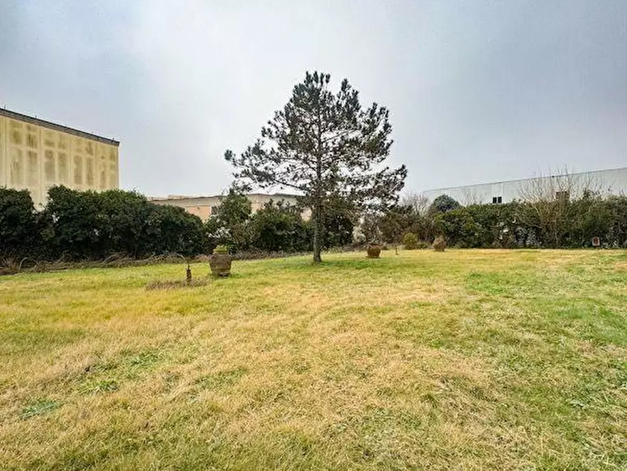 Immagine 6 di Villa in vendita  a Calcinaia