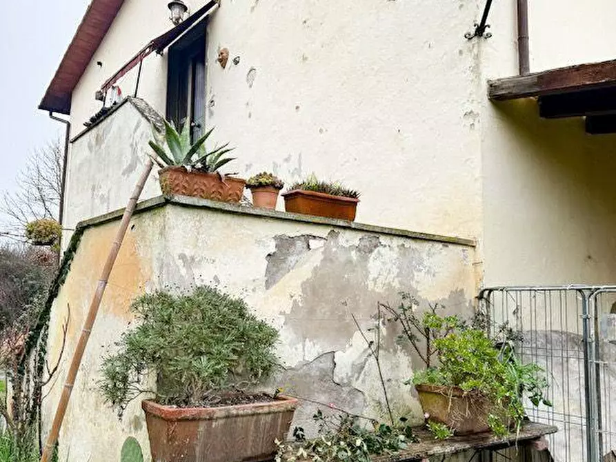 Immagine 8 di Villa in vendita  a Calcinaia