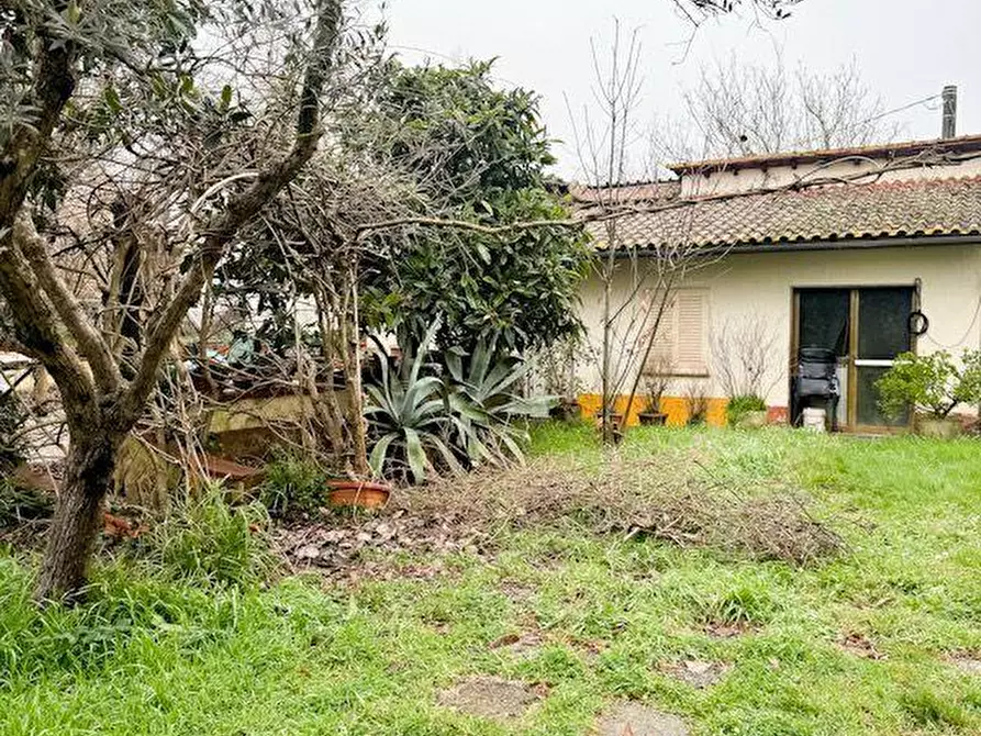 Immagine 11 di Villa in vendita  a Calcinaia