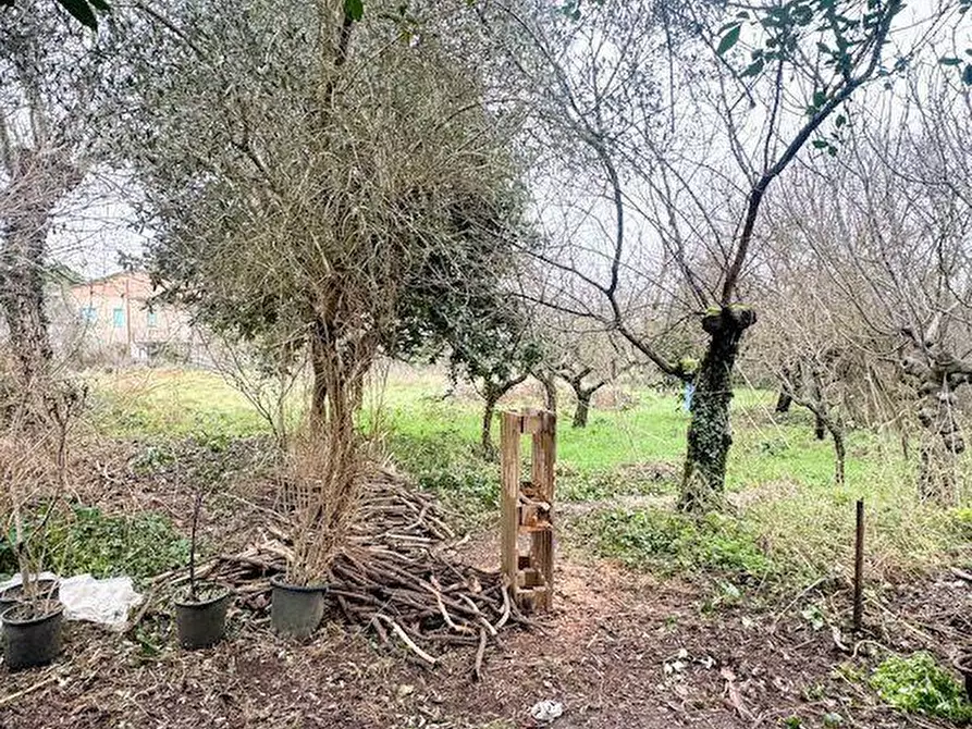 Immagine 7 di Villa in vendita  a Calcinaia
