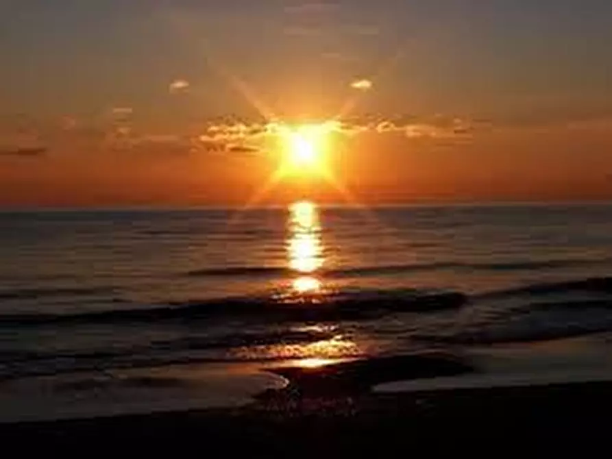 Immagine 1 di Attività commerciale in vendita  a Pietrasanta