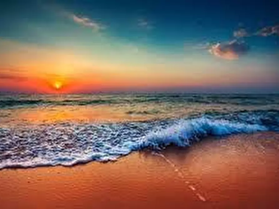 Immagine 2 di Attività commerciale in vendita  a Pietrasanta