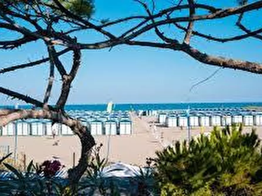 Immagine 10 di Attività commerciale in vendita  a Pietrasanta