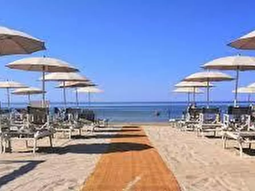 Immagine 11 di Attività commerciale in vendita  a Pietrasanta