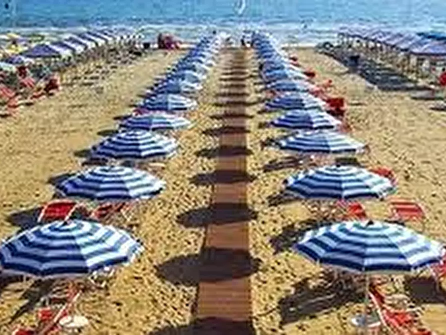 Immagine 16 di Attività commerciale in vendita  a Pietrasanta