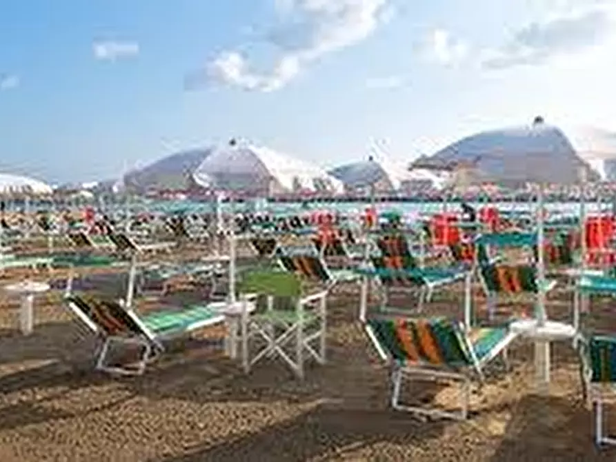 Immagine 4 di Attività commerciale in vendita  a Pietrasanta