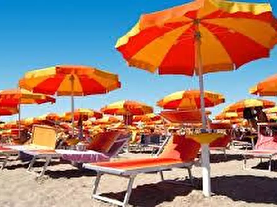 Immagine 14 di Attività commerciale in vendita  a Pietrasanta