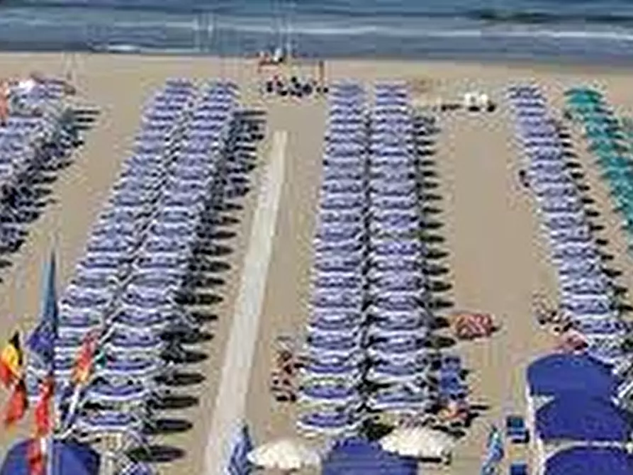 Immagine 9 di Attività commerciale in vendita  a Pietrasanta