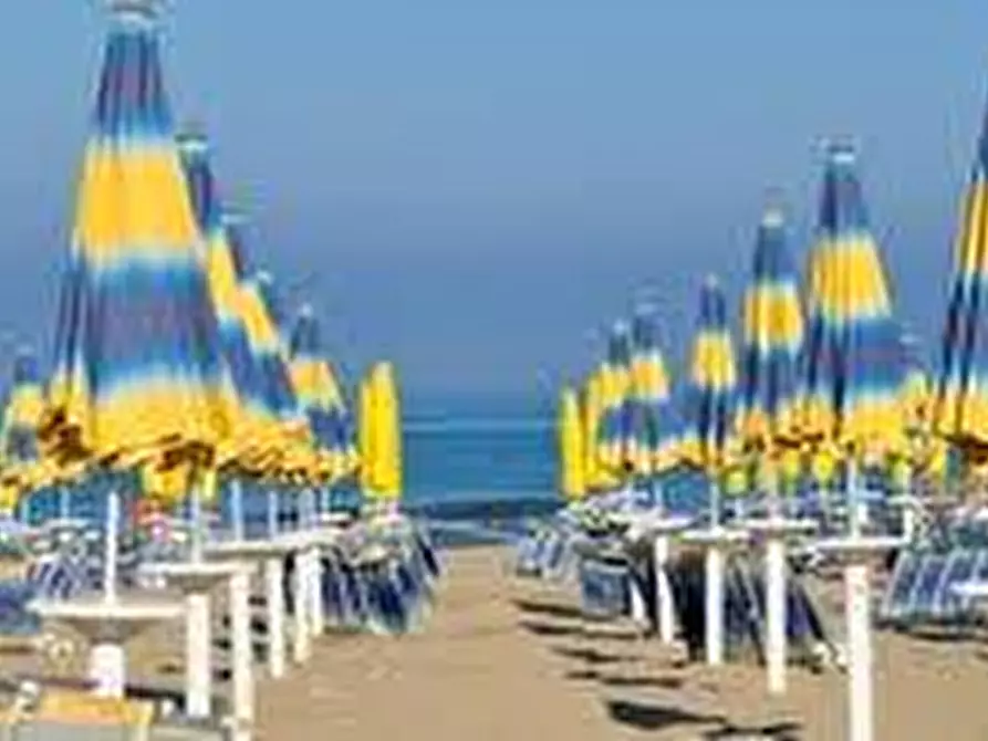 Immagine 5 di Attività commerciale in vendita  a Pietrasanta