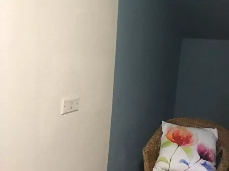 Immagine 15 di Appartamento in affitto  a Camaiore