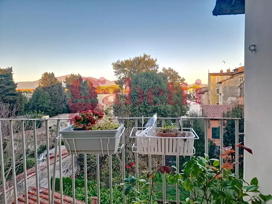 Immagine 9 di Appartamento in vendita  a Pisa