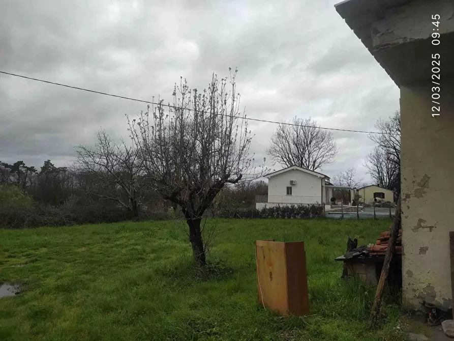 Immagine 6 di Casa bifamiliare in vendita  a Altopascio