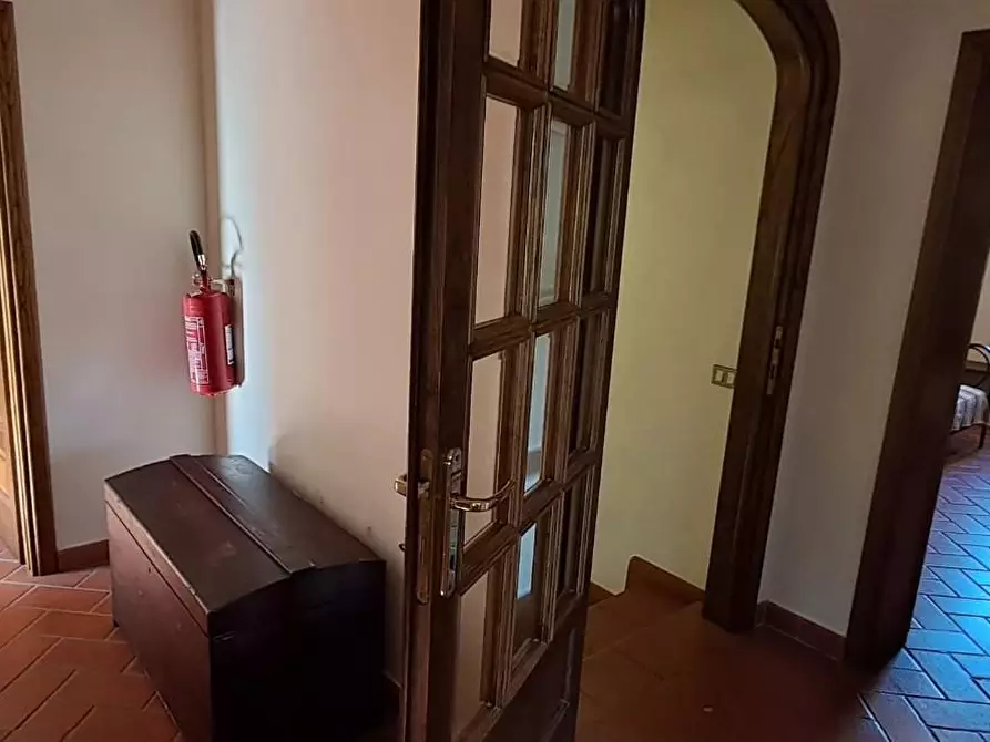 Immagine 15 di Casa colonica in vendita  a Montescudaio