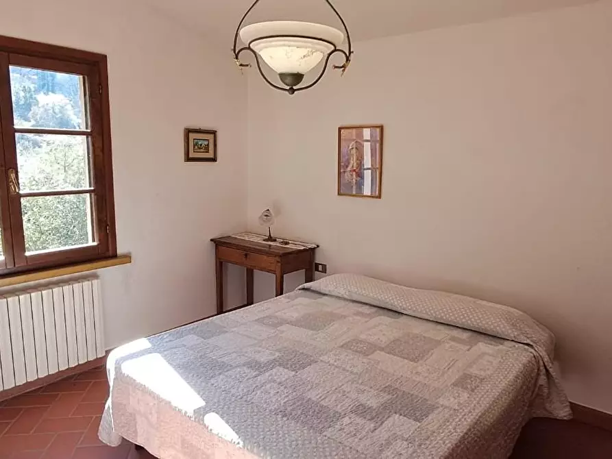 Immagine 22 di Casa colonica in vendita  a Montescudaio