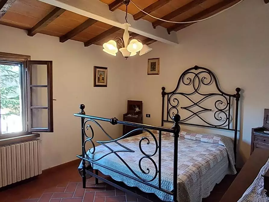Immagine 21 di Casa colonica in vendita  a Montescudaio
