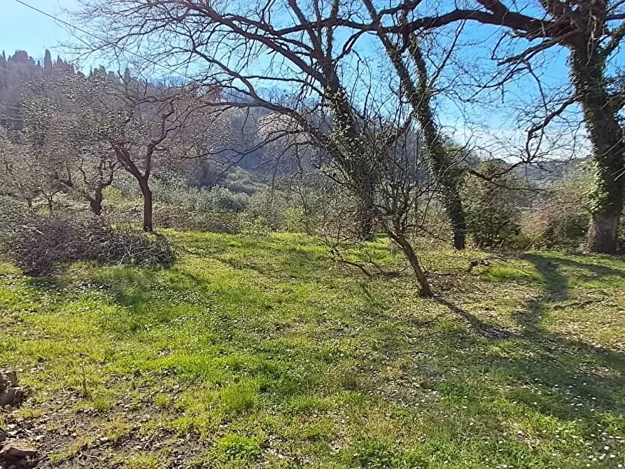 Immagine 28 di Casa colonica in vendita  a Montescudaio