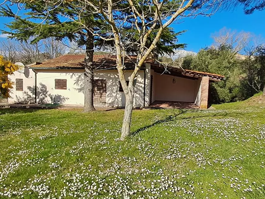 Immagine 25 di Casa colonica in vendita  a Montescudaio