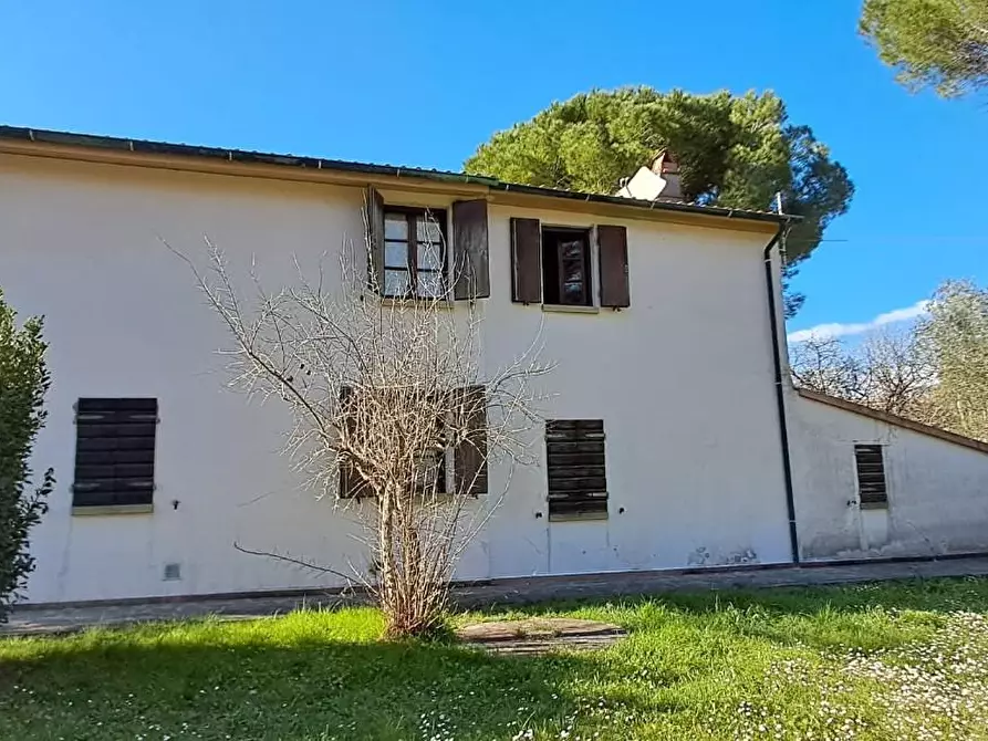 Immagine 3 di Casa colonica in vendita  a Montescudaio