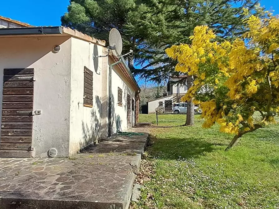 Immagine 26 di Casa colonica in vendita  a Montescudaio